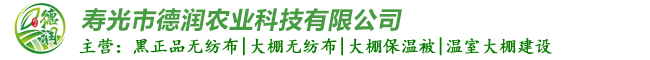 網(wǎng)站建設(shè)
